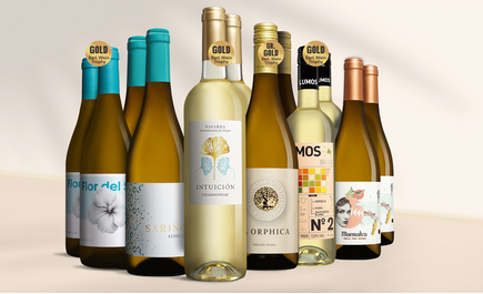 Blanco Topseller-Paket