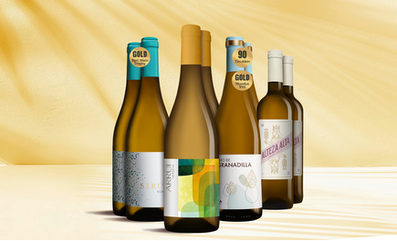 Verdejo Genießer-Paket