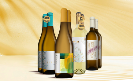 Verdejo Genießer-Paket