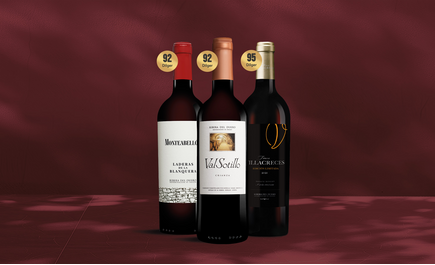Ribera del Duero-Paket