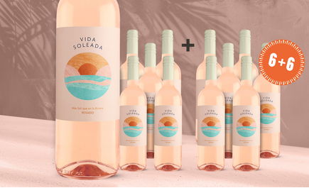 Vida Soleada Rosé 2025