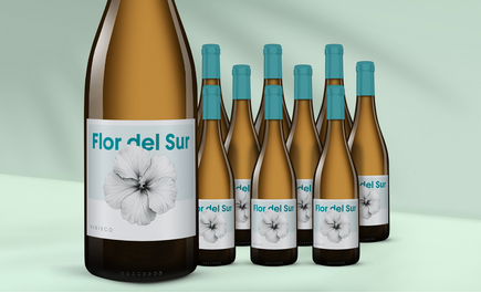 Flor del Sur Hibisco Blanco 2025