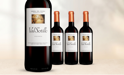 Val Sotillo Crianza 2022