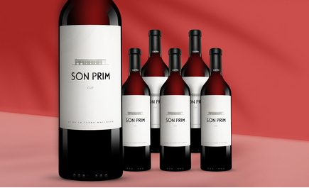 Son Prim Cup 2023