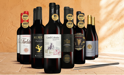 Tinto-Topseller-Paket + gratis Grillpinzette