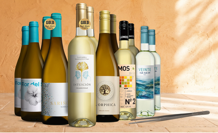 Blanco-Topseller-Paket + gratis Grillpinzette