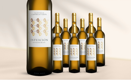 Intuición Sauvignon Blanc 2025