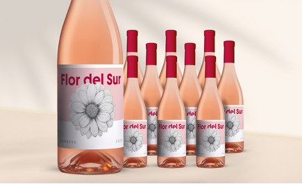 Flor del Sur Gerbera Rosé 2025