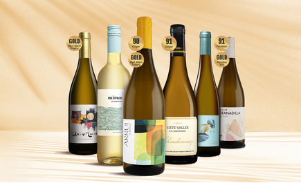 Weißwein-Topseller-Paket