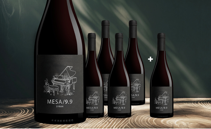 MESA/9.9 Syrah 5+1