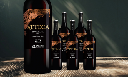 Atteca Black Label 2023