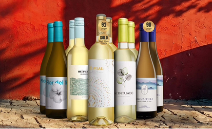 Lagerausverkauf-Weißwein-Paket