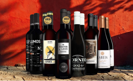 Lagerausverkauf-Rotwein-Paket