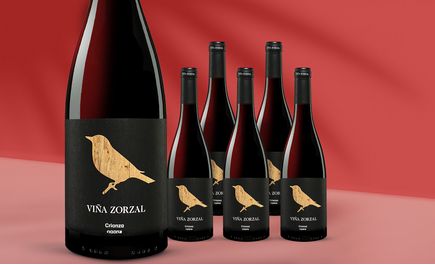 Viña Zorzal Crianza 2021
