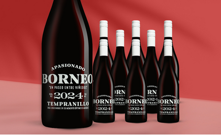 Borneo Apasionado 2024