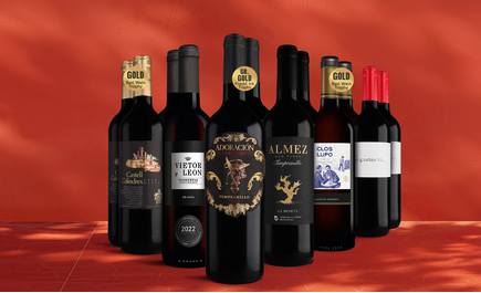 Rotwein-Topseller-Paket