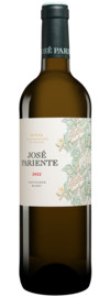 José Pariente Sauvignon Blanc 2022