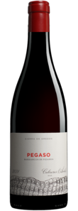 Telmo Rodríguez Pegaso »Barrancos de Pizarra« 2021