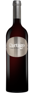 Cartago Paraje del Pozo 2017