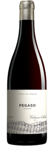Telmo Rodríguez Pegaso »Granito« 2021