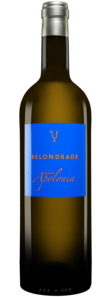 Quinta Apolonia Belondrade 2024