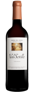 Val Sotillo Crianza 2022