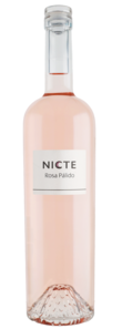 Nicte Rosado Palido 2025