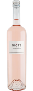 Nicte Rosado Palido 2025