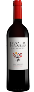 Val Sotillo »Finca Buenavista« 2020