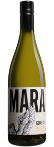 Martín Códax Mara Martín 2025