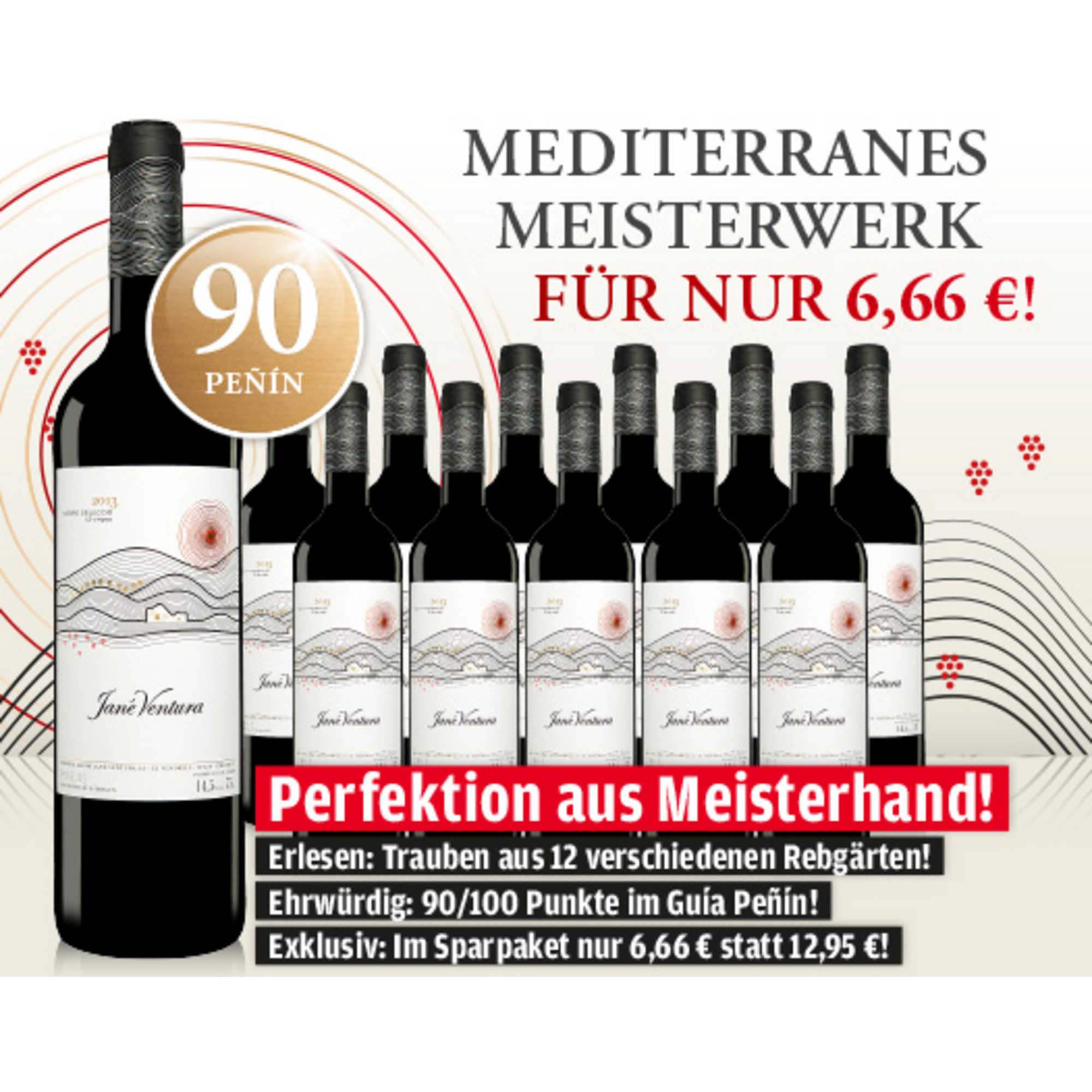 Jané Ventura Negre »Selecció« 2013 - 12er E*Special Januar 2016  9L 14.5% Vol. Trocken Weinpaket aus Spanien 17843 vinos DE