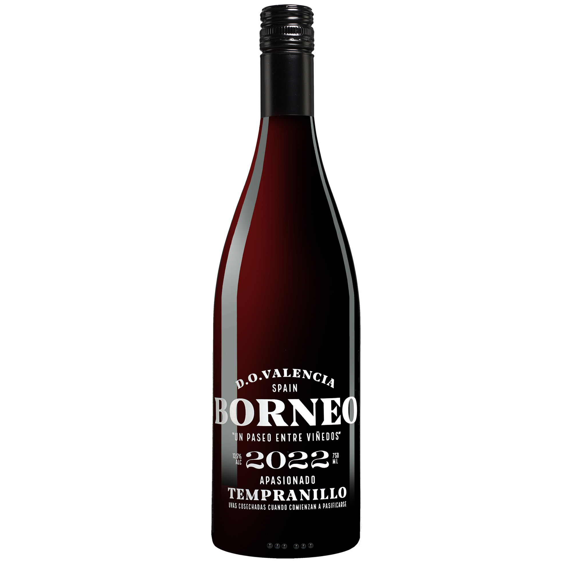 Borneo Apasionado 2022  0.75L 13.5% Vol. Rotwein Halbtrocken aus Spanien Rotwein 22111 vinos DE