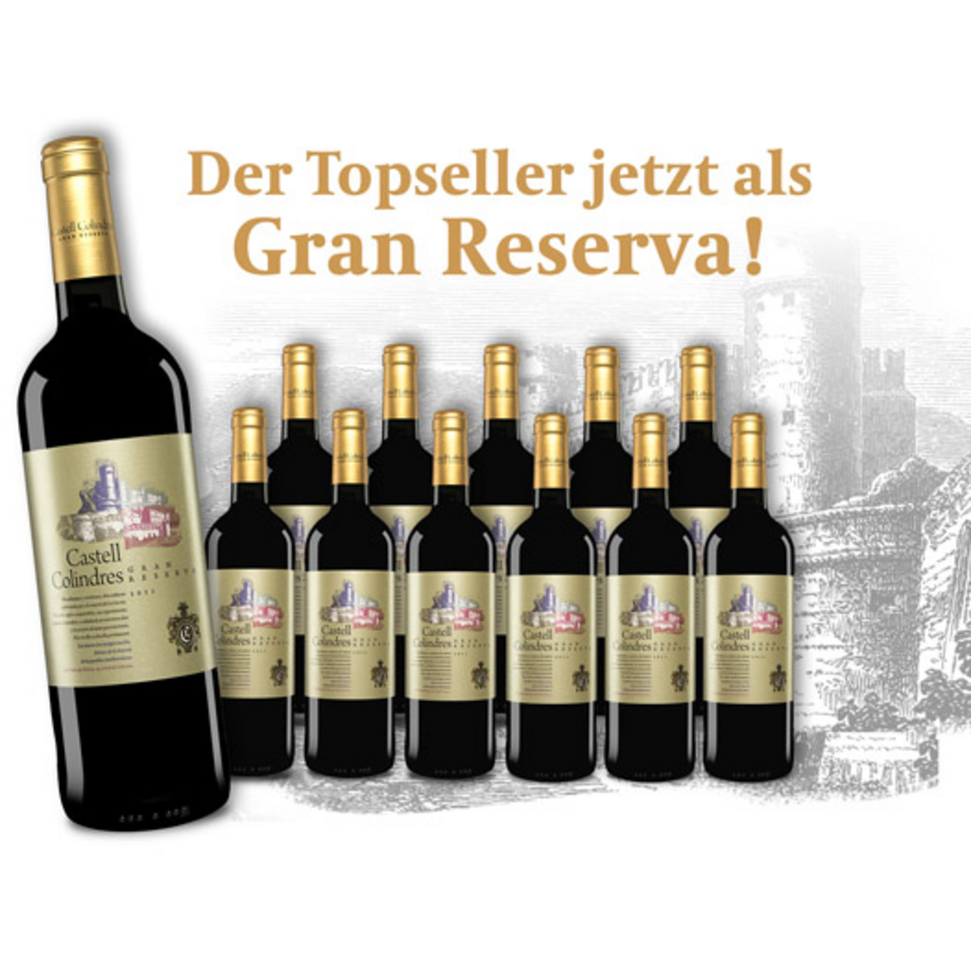 E*Special - Castell Colindres Gran Reserva 2011  9L 14% Vol. Trocken Weinpaket aus Spanien 24099 vinos DE