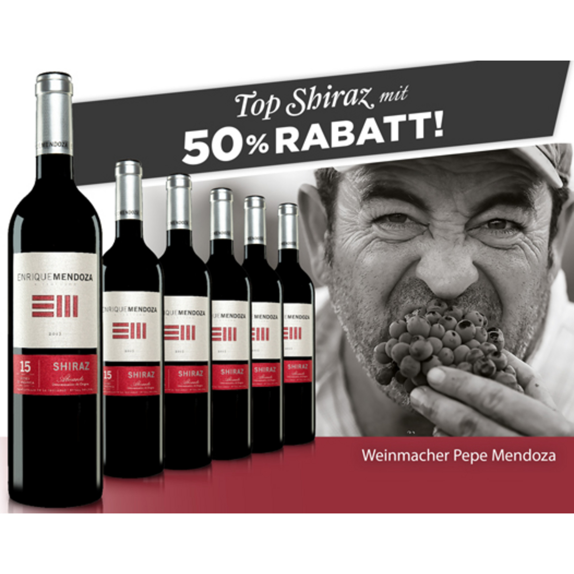 E*Special - Enrique Mendoza Shiraz 2016  4.5L 14.5% Vol. Trocken Weinpaket aus Spanien 24526 vinos DE