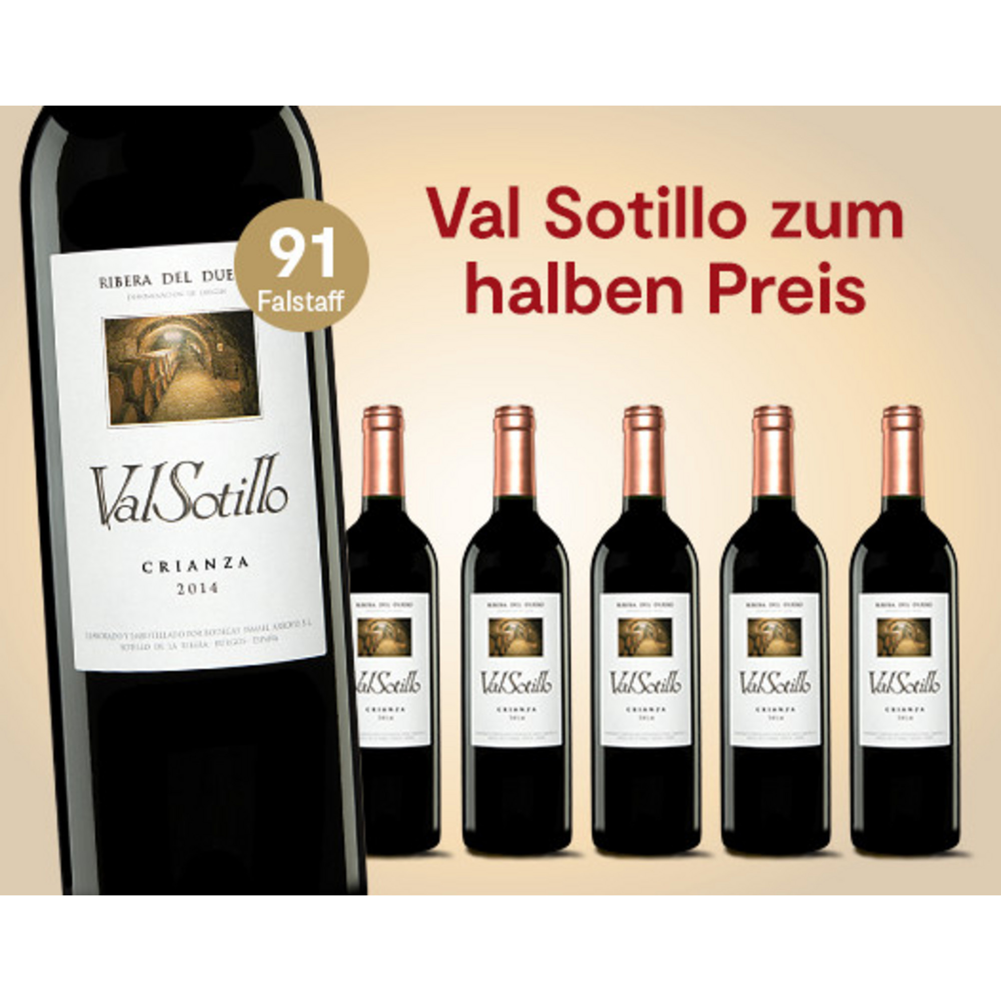 E*Special - Val Sotillo Crianza 2014  4.5L 14.5% Vol. Trocken Weinpaket aus Spanien 25844 vinos DE