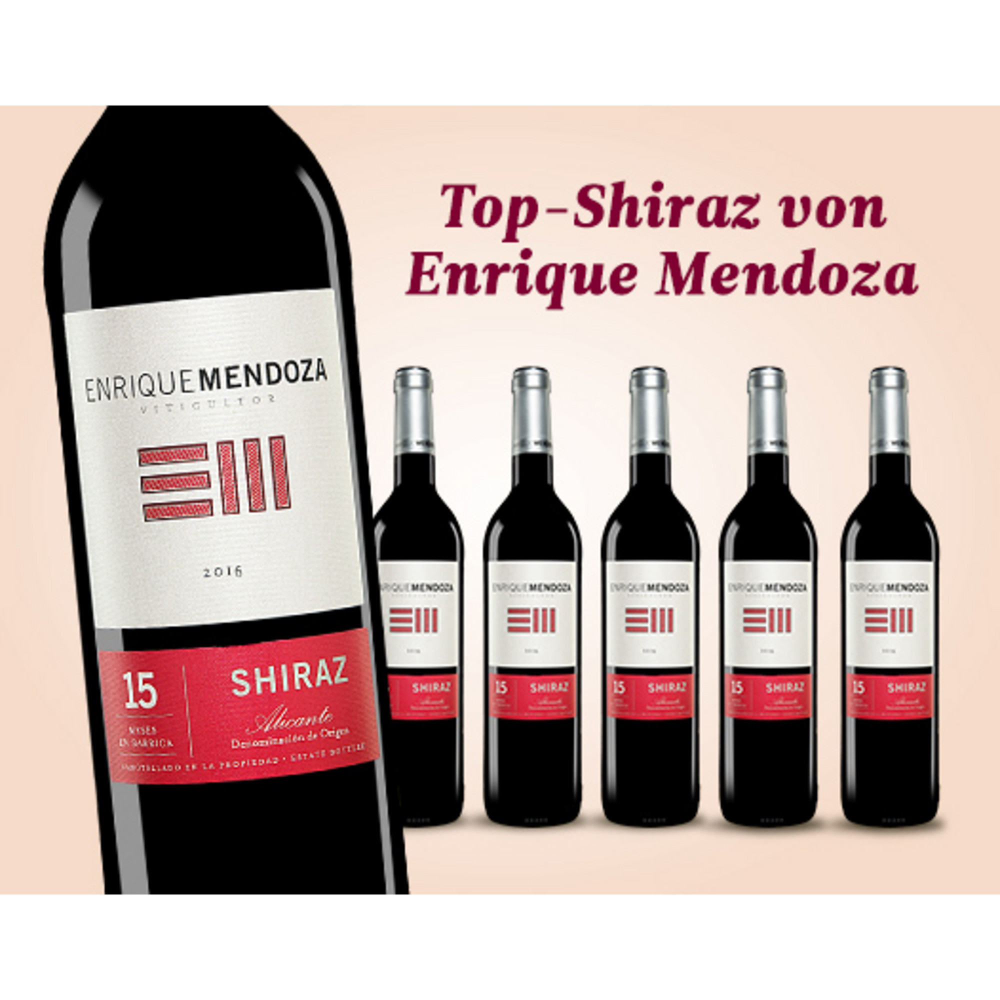 E*Special - Enrique Mendoza Shiraz 2016  4.5L 14.5% Vol. Trocken Weinpaket aus Spanien 26087 vinos DE