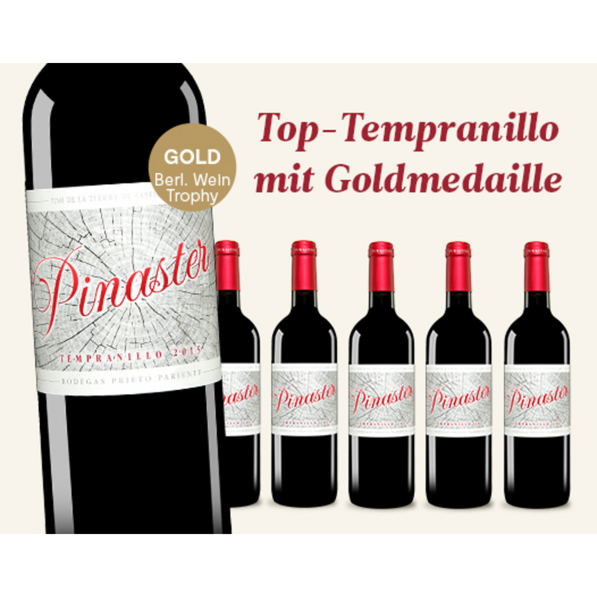 E*Special - Prieto Pariente Pinaster 2015  4.5L 14% Vol. Trocken Weinpaket aus Spanien 26230 vinos DE