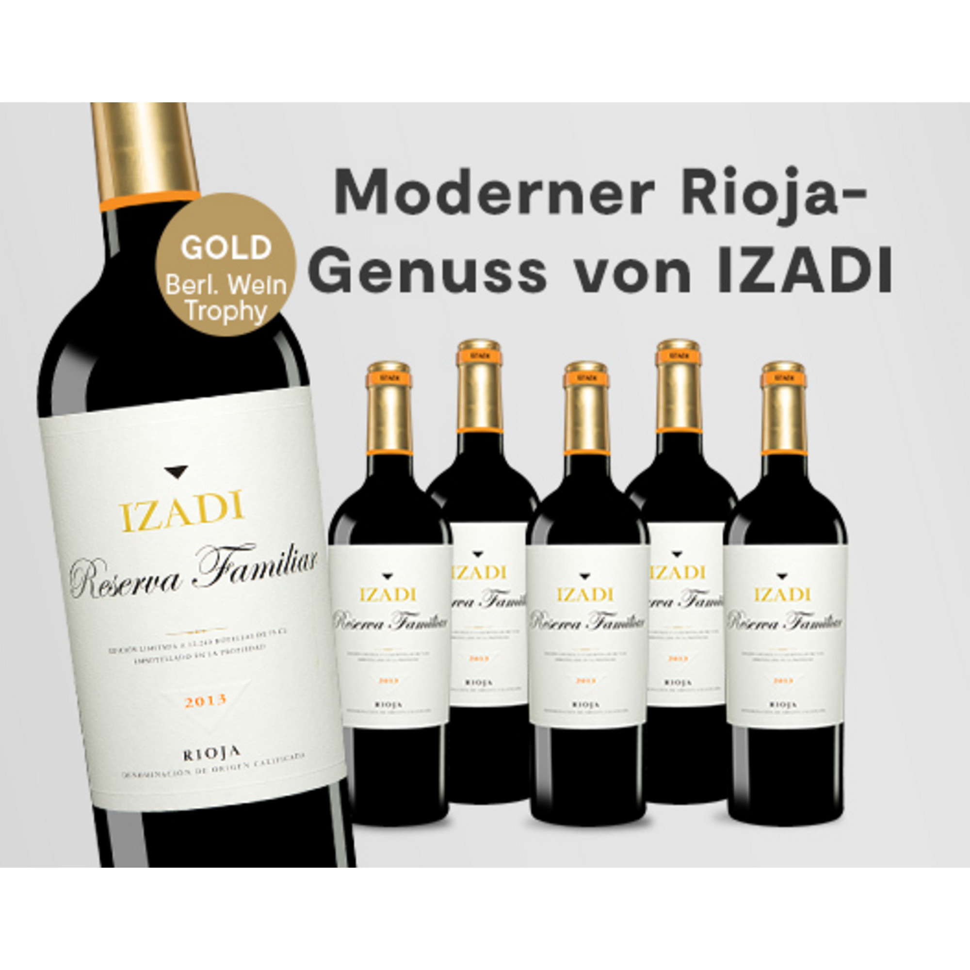 E*Special - Izadi Tinto »Reserva Familiar« 2013  4.5L 14% Vol. Trocken Weinpaket aus Spanien 26322 vinos DE