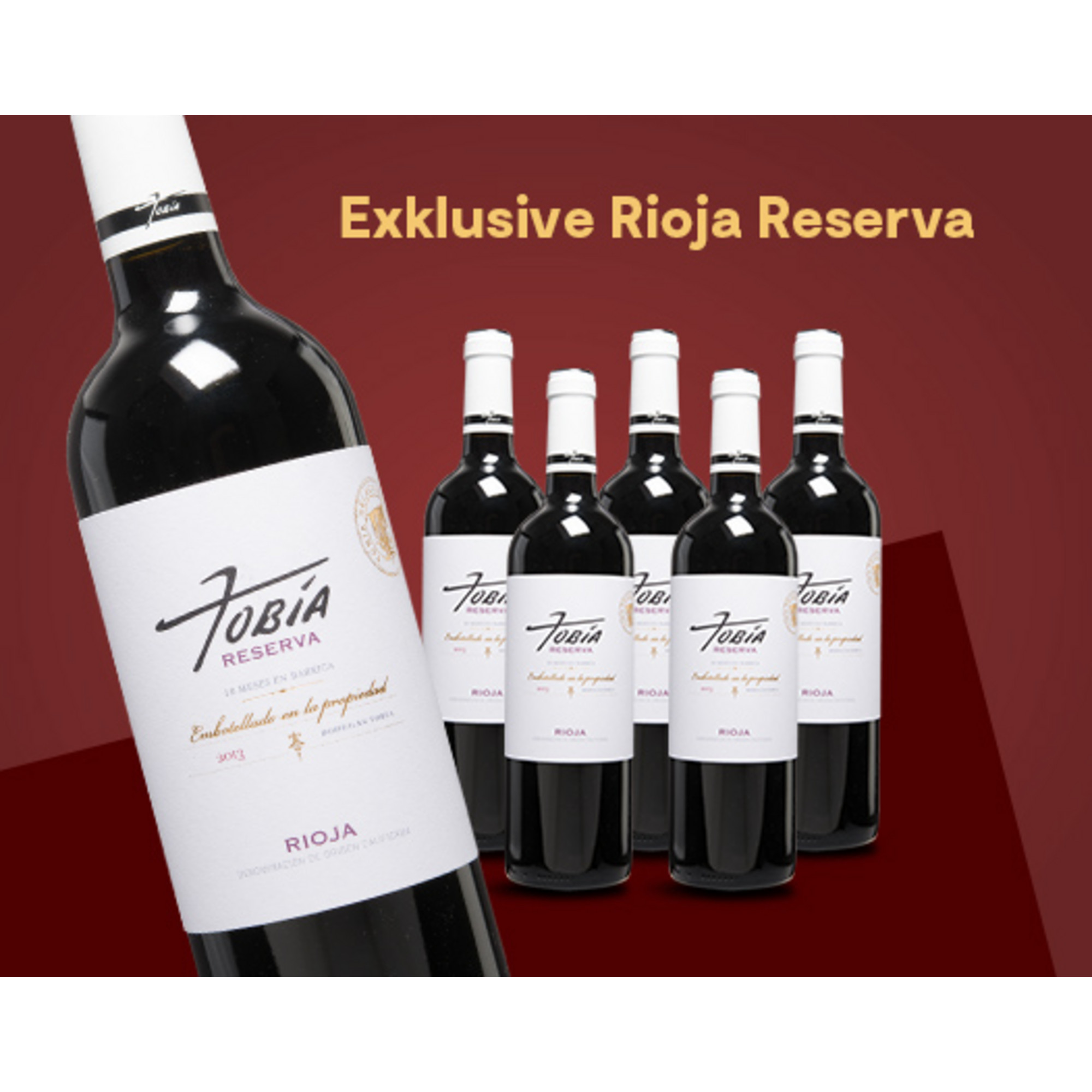 E*Special - Tobía »18 meses« Reserva  2013  4.5L 14% Vol. Trocken Weinpaket aus Spanien 26490 vinos DE