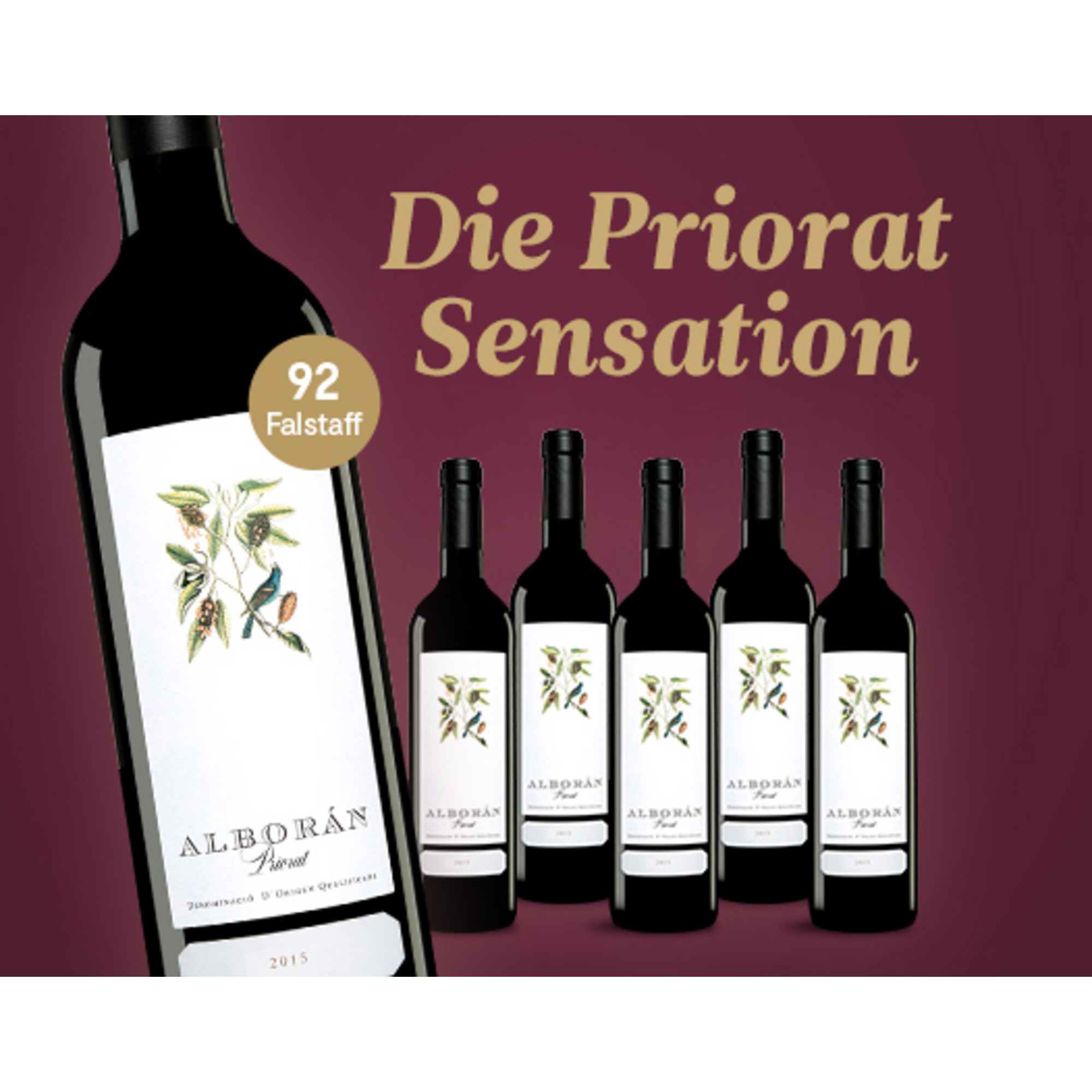E*Special - Alboran 2015  4.5L 14.5% Vol. Trocken Weinpaket aus Spanien 26595 vinos DE