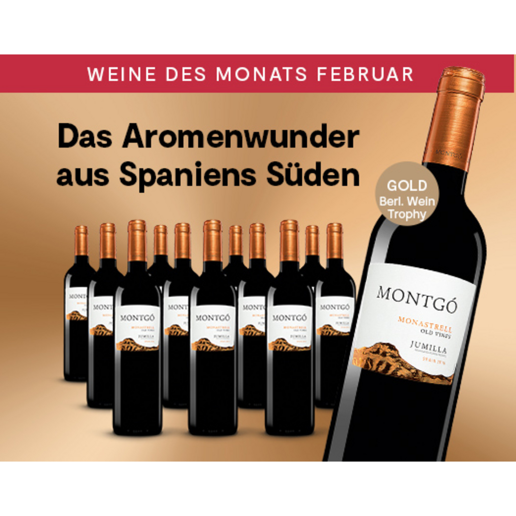 Montgó Monastrell 2016  9L 15% Vol. Trocken Weinpaket aus Spanien 26698 vinos DE
