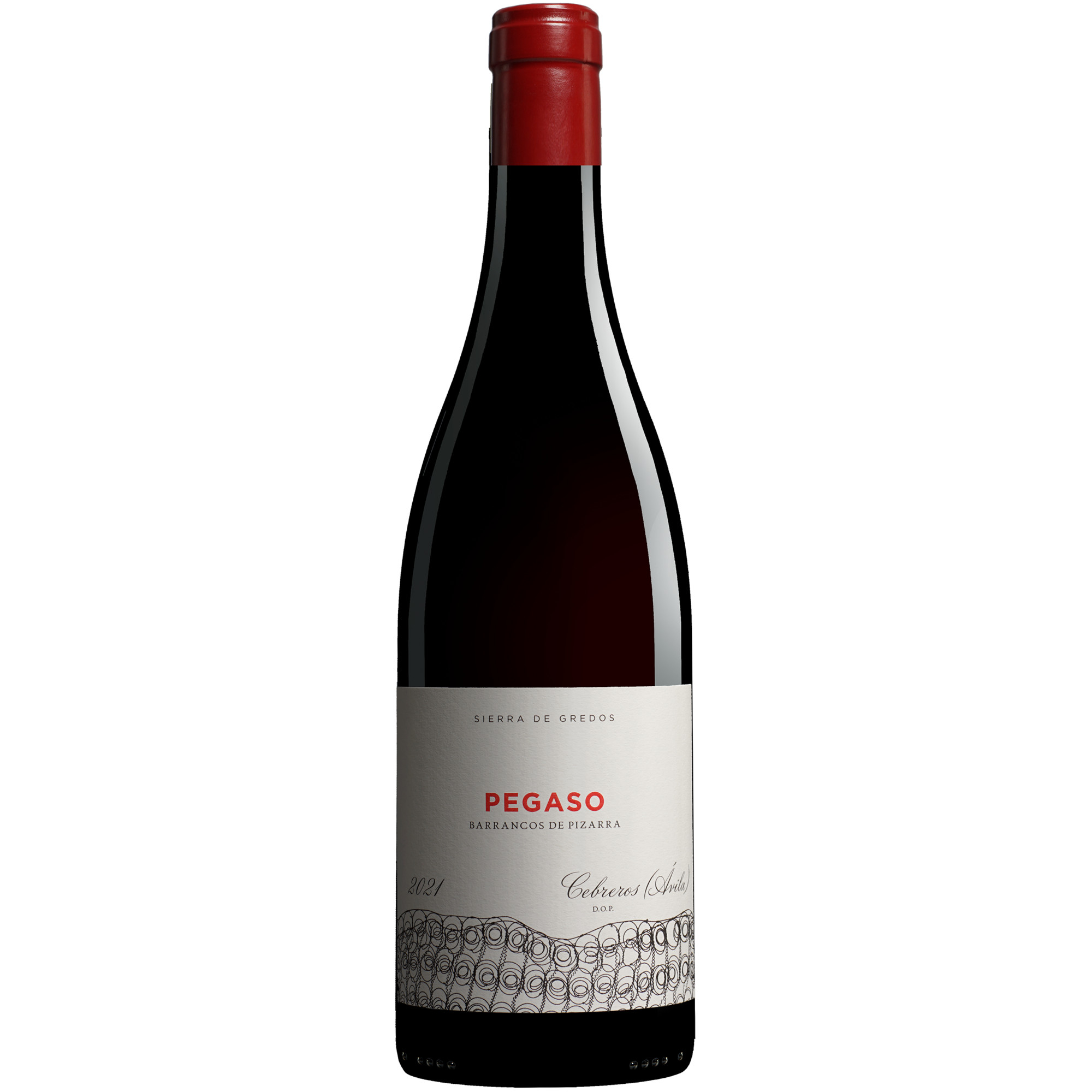 Telmo Rodríguez Pegaso »Barrancos de Pizarra« 2021  0.75L 14.5% Vol. Rotwein Trocken aus Spanien