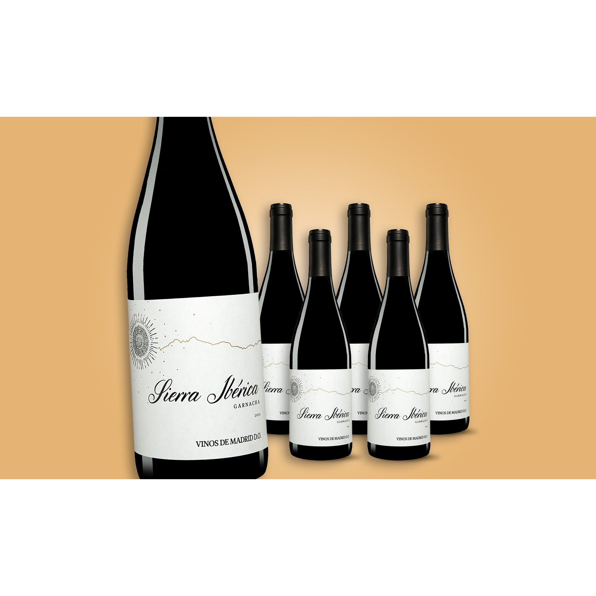 Sierra Iberica 2016  4.5L 13% Vol. Trocken Weinpaket aus Spanien 30020 vinos DE