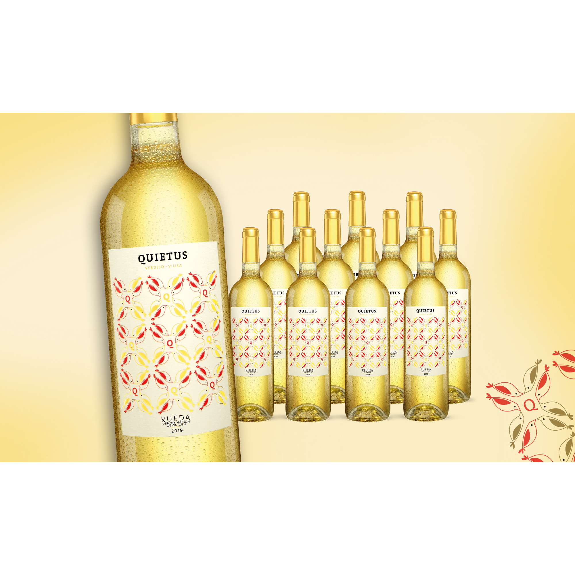 Quietus Rueda 2019  9L 12.5% Vol. Trocken Weinpaket aus Spanien 30586 vinos DE