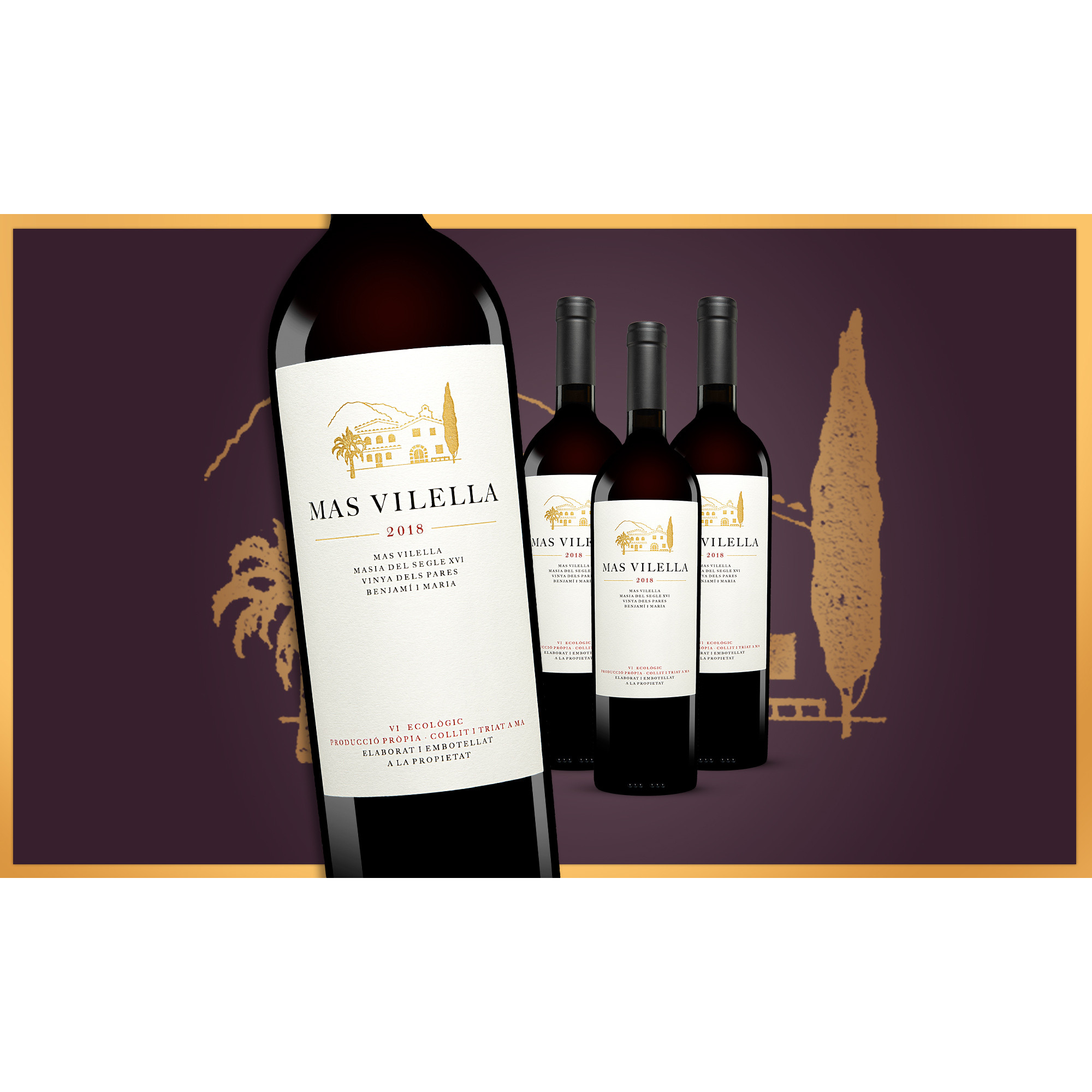 Mas Vilella Negre 2018  3L 14.5% Vol. Weinpaket aus Spanien 31194 vinos DE