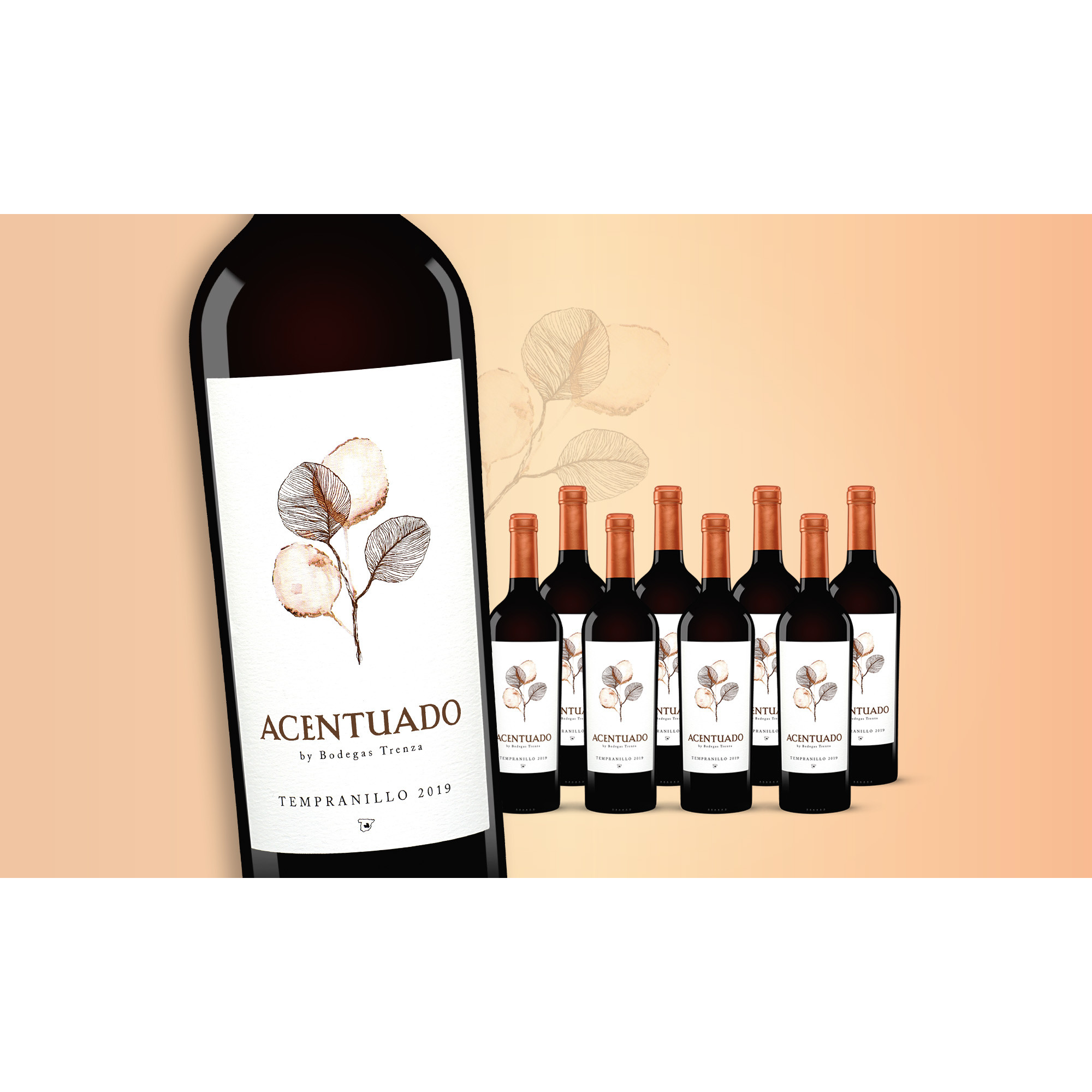 Acentuado Tempranillo 2019  6.75L 14.5% Vol. Trocken Weinpaket aus Spanien 32926 vinos DE
