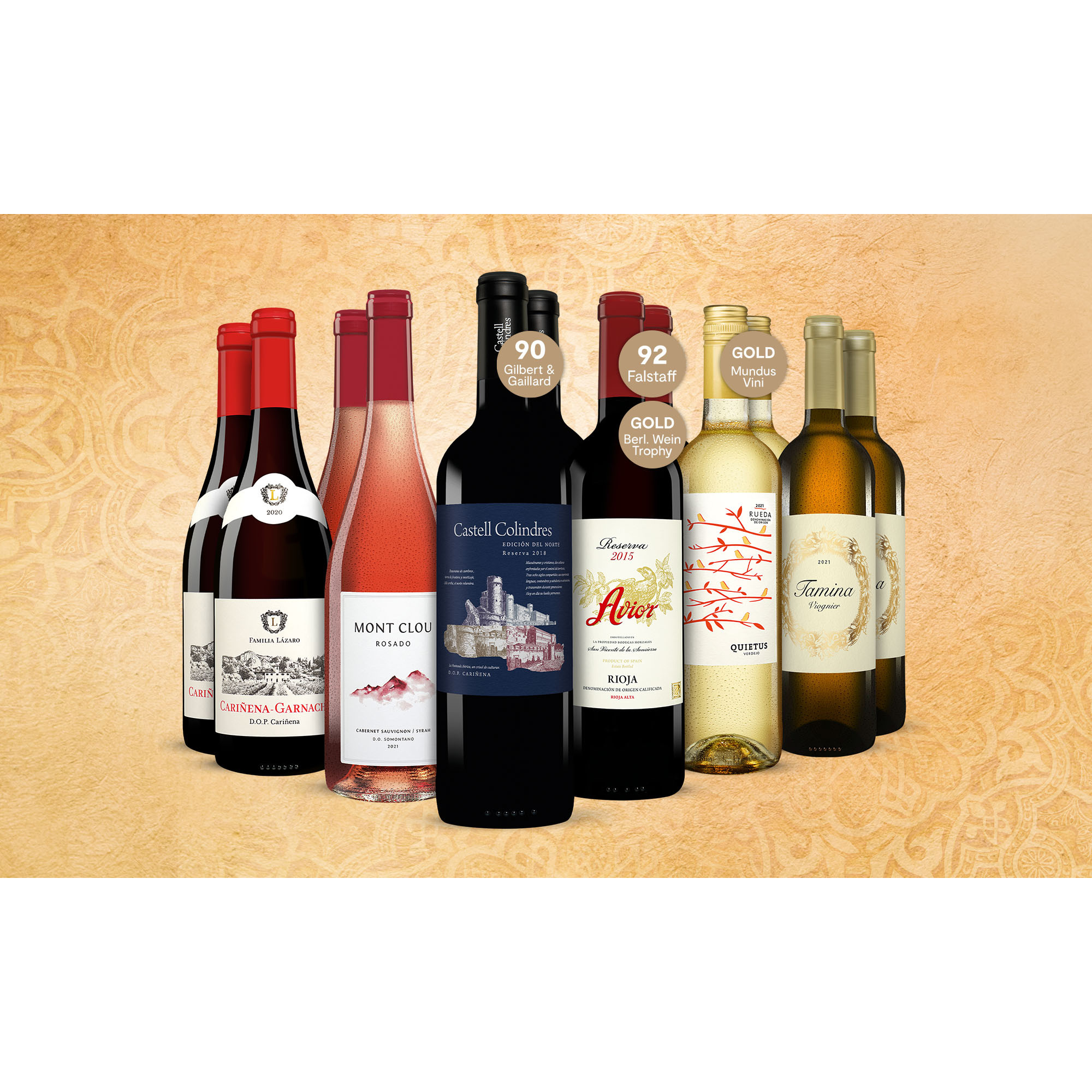 Amigos-Paket  9L Weinpaket aus Spanien 33481 vinos DE