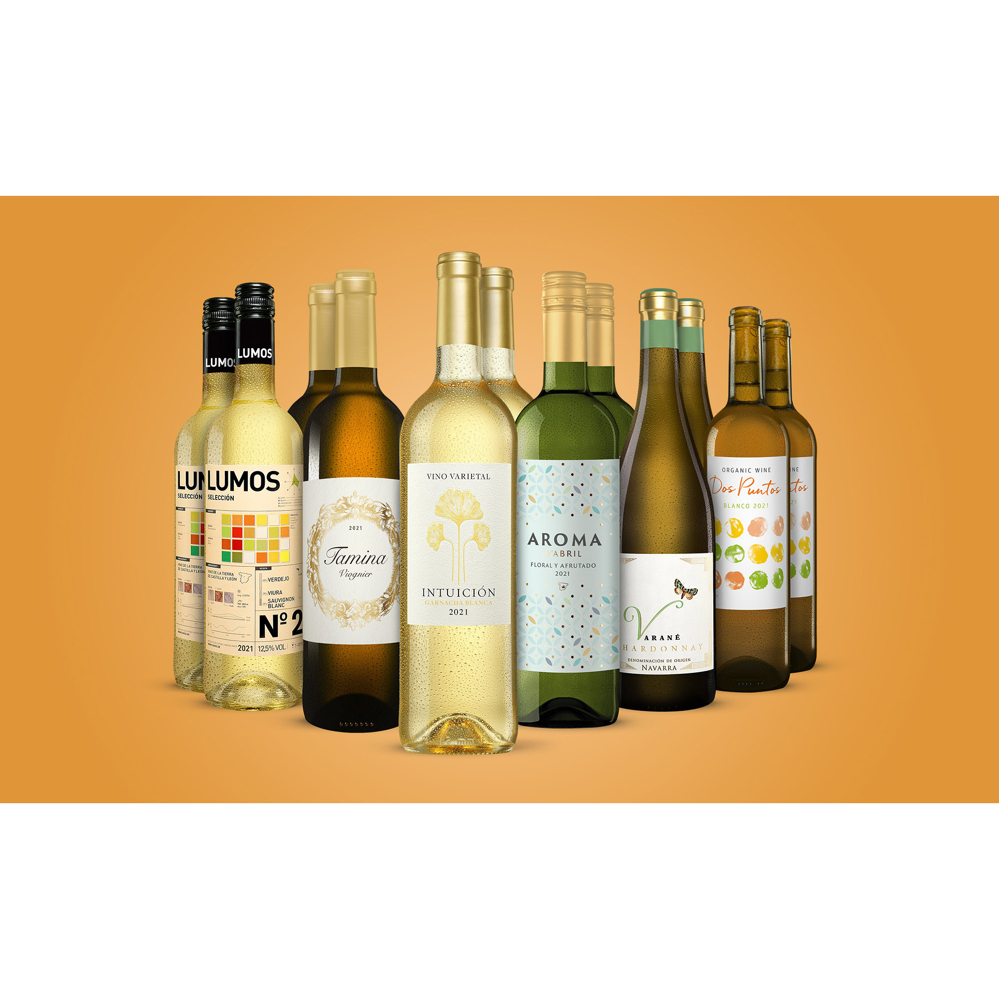Weißwein-Genießer-Paket  9L Weinpaket aus Spanien 33483 vinos DE