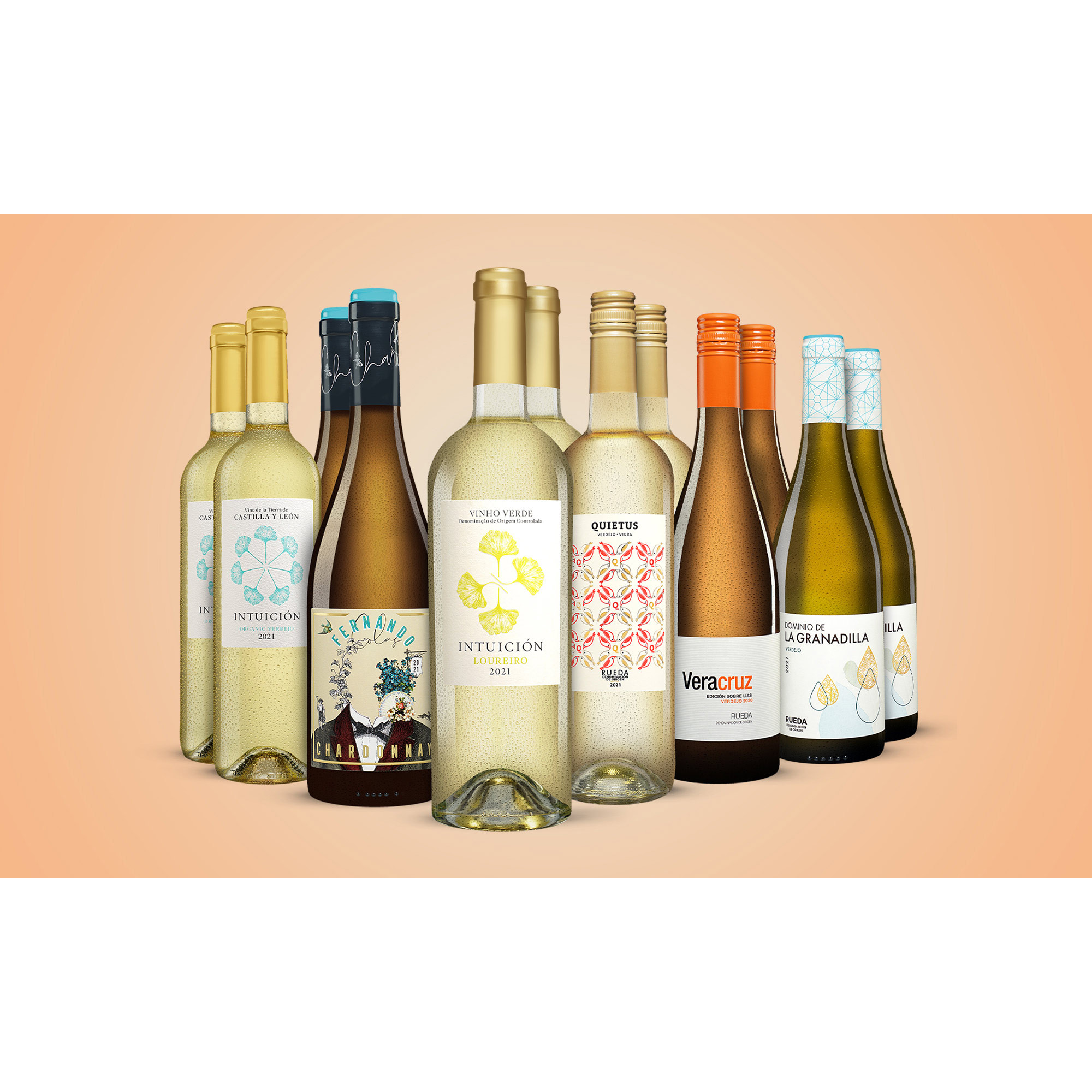Weißwein-Vielfalt-Paket  9L Weinpaket aus Spanien 33484 vinos DE