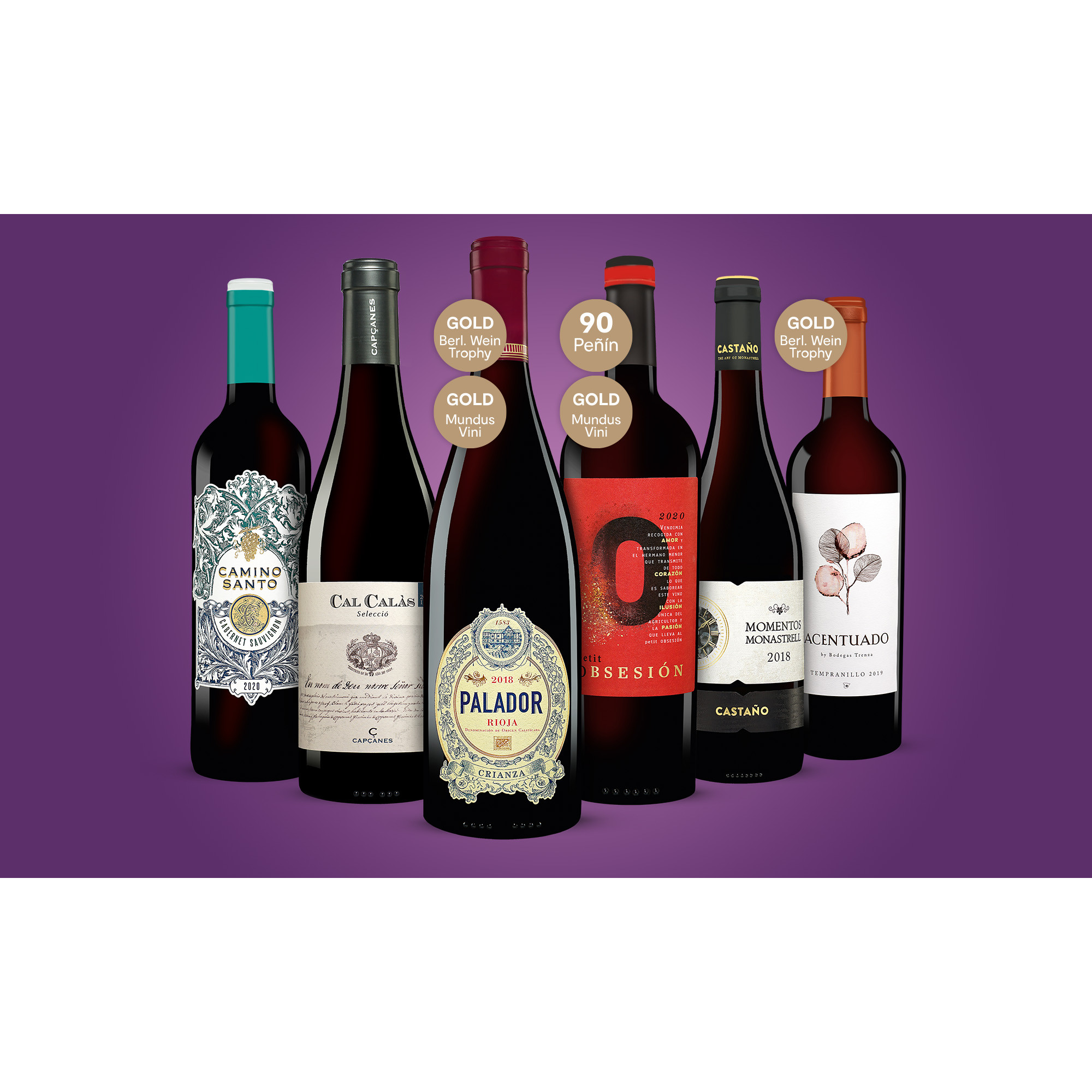 Rotwein-Genießer-Paket  4.5L Weinpaket aus Spanien 33569 vinos DE